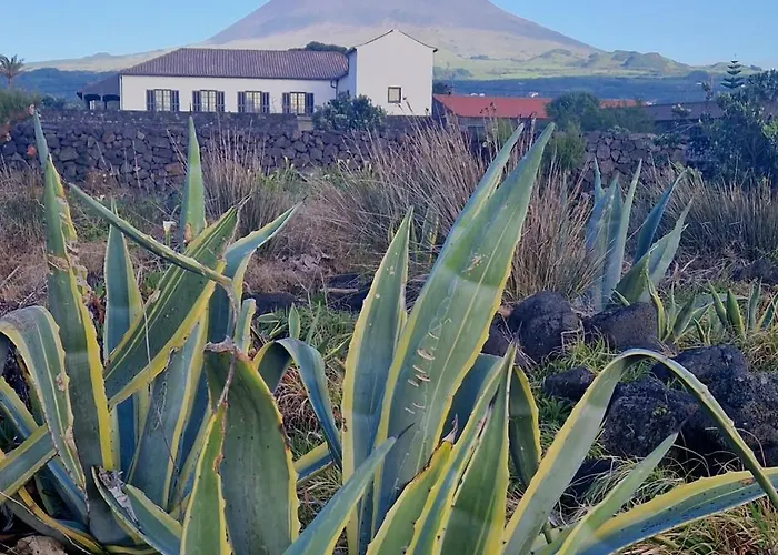 Solar Dos Limas Gerendaház Criação Velha