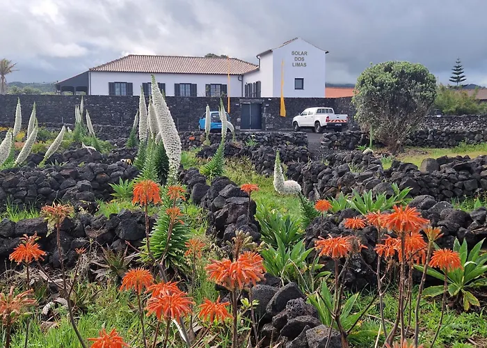 Solar Dos Limas Criacao Velha