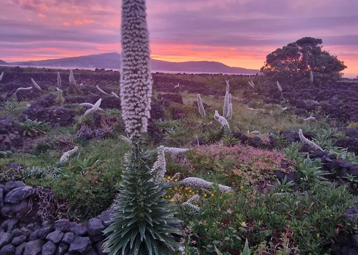 Solar Dos Limas ロッジ Criação Velha